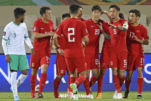 绿野仙踪林视频入口欢迎您