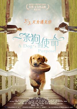 中文乱码一二三四有限公司