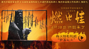 午夜dj在线观看完整www