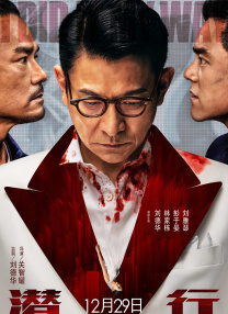 成人欧美视频